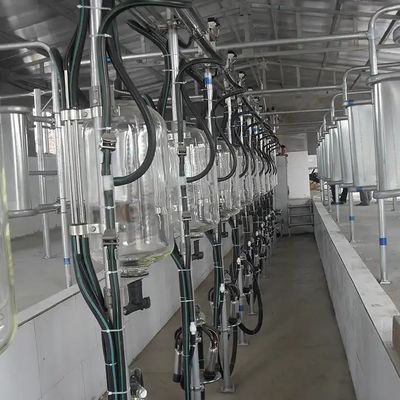 İyi bir fiyat. Dairy Farm Cow Goat Milking Parlor Glass Milk Flow Meter De Laval çevrimiçi
